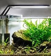 Small Gravel Vacuum for Aquarium — collection imagery