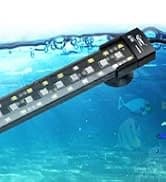 Small Gravel Vacuum for Aquarium — collection imagery