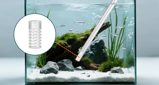Small Aquarium Gravel Vacuum — Sand Cleaner Tank Water Changer — Keep fish from being sucked up.