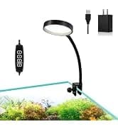 Small Aquarium Gravel Vacuum — Sand Cleaner Tank Water Changer — collection imagery