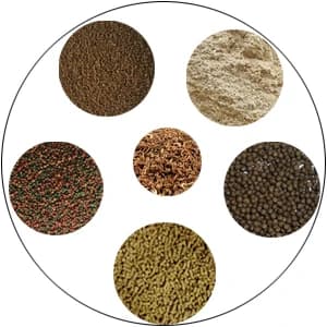 Automatic Fish Feeder Food Dispenser — Vacation Fish Feeder — collection imagery