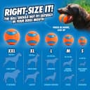 Ultra Rubber Dog Ball — Floating Fetch Toy