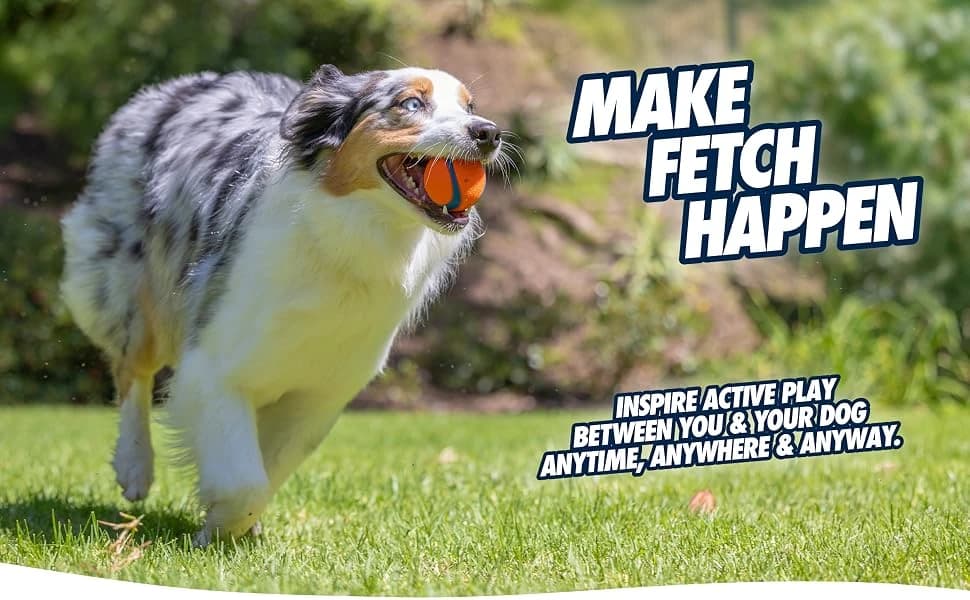 Ultra Rubber Dog Ball — Floating Fetch Toy — product details