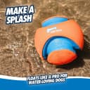 Kick Fetch Ball Dog Toy — Large, 8in, for Large Dogs, Floats