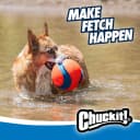 Kick Fetch Ball Dog Toy — Large, 8in, for Large Dogs, Floats