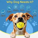 Dog Balls Tennis Balls Dog Chew Toys for Aggressive Chewers ETPU 4Pcs