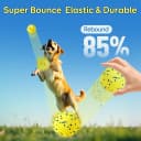 Dog Balls Tennis Balls Dog Chew Toys for Aggressive Chewers ETPU 4Pcs