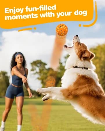 Dog Balls Tennis Balls Dog Chew Toys for Aggressive Chewers ETPU 4Pcs — collection imagery