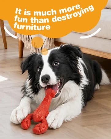 Dog Balls Tennis Balls Dog Chew Toys for Aggressive Chewers ETPU 4Pcs — collection imagery