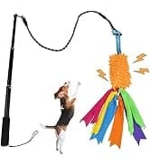 Dog Extendable Teaser Wand Pet Flirt Stick Pole Puppy Chasing Tail Interactive Toy for Small, Medium, and Large — collection imagery