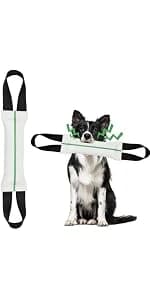 Dog Extendable Teaser Wand Pet Flirt Stick Pole Puppy Chasing Tail Interactive Toy for Small, Medium, and Large — product details