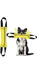 Dog Extendable Teaser Wand Pet Flirt Stick Pole Puppy Chasing Tail Interactive Toy for Small, Medium, and Large — product details