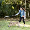 Flirt Pole V2 with Lure - Durable Dog Toy for Fun Obedience Training and Exercise