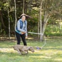 Flirt Pole V2 with Lure - Durable Dog Toy for Fun Obedience Training and Exercise