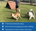Interactive Flirt Pole Toy for Dogs Chase