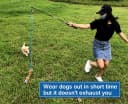 Interactive Flirt Pole Toy for Dogs Chase