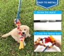 Interactive Flirt Pole Toy for Dogs Chase