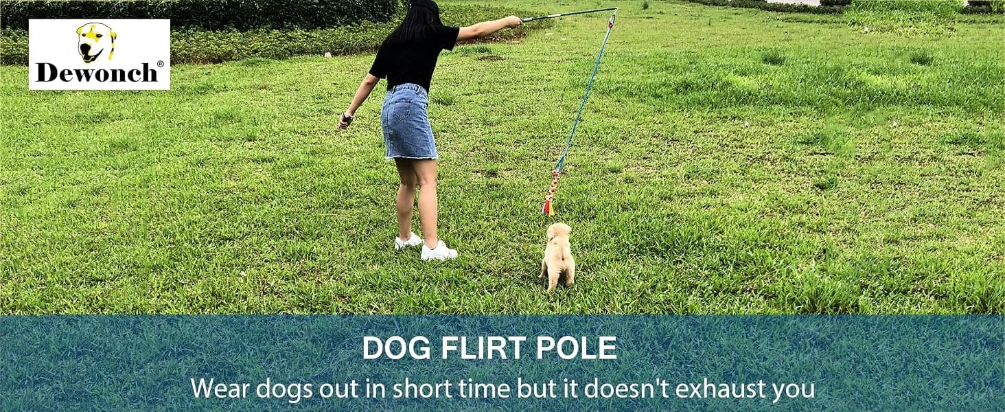 Interactive Flirt Pole Toy for Dogs Chase — product details