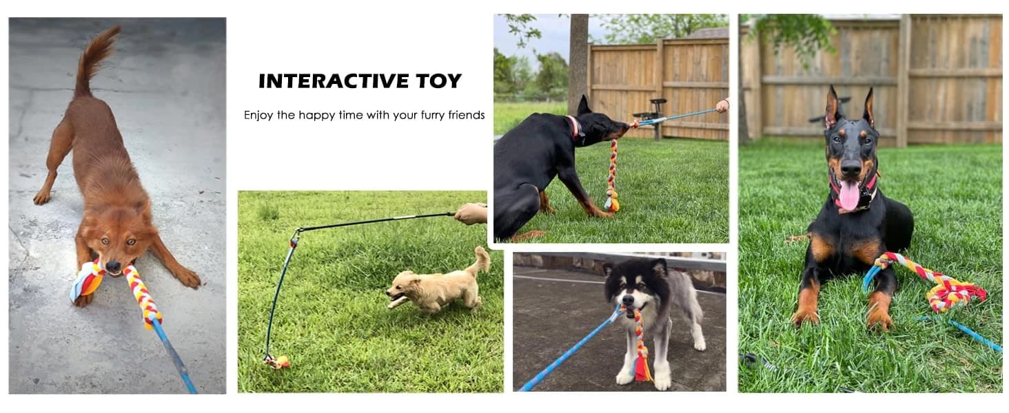 Interactive Flirt Pole Toy for Dogs Chase — product details
