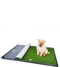 Interactive Flirt Pole Toy for Dogs Chase — collection imagery