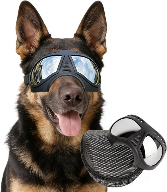 Dog Goggles for Large Dogs Eye Protection