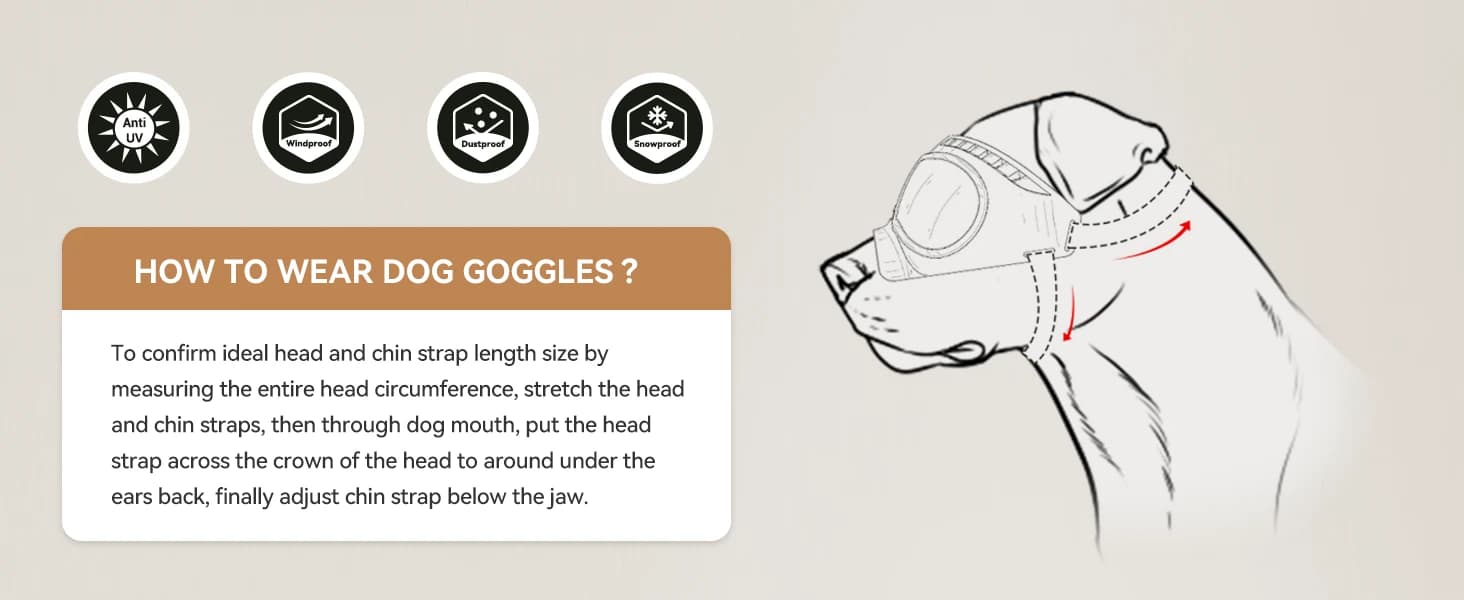 Dog Goggles for Large Dogs Eye Protection — product details