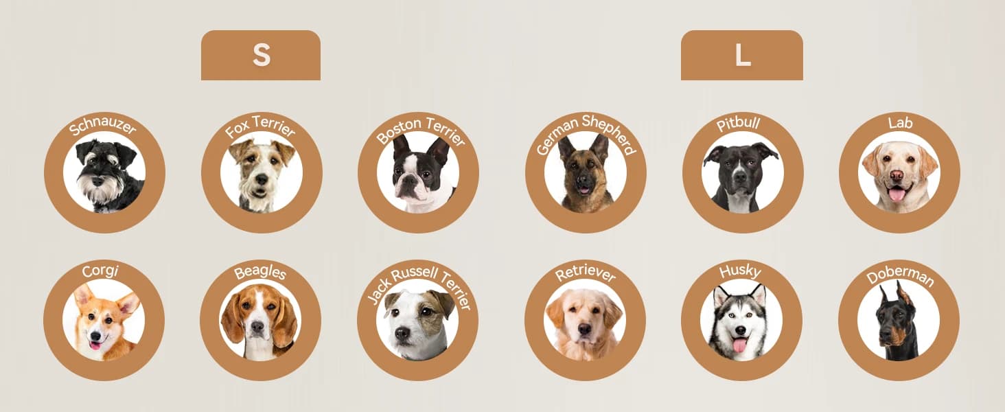 Dog Goggles for Large Dogs Eye Protection — product details
