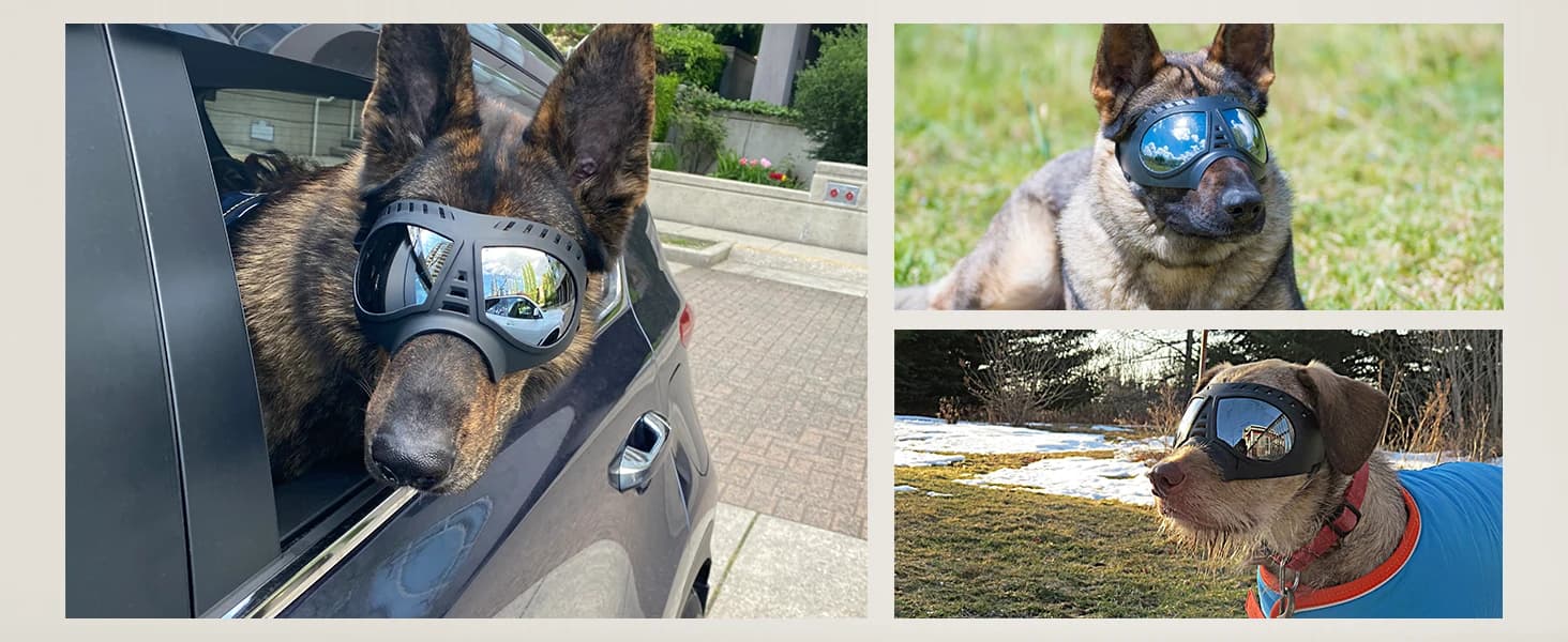 Dog Goggles for Large Dogs Eye Protection — product details