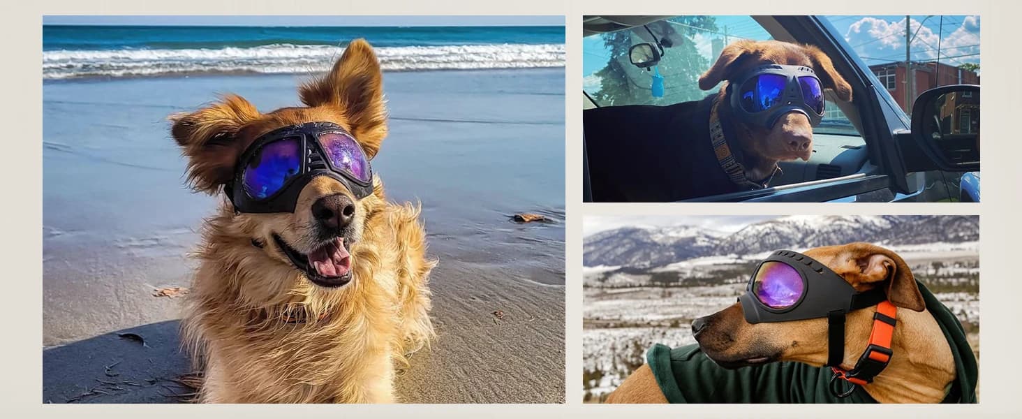 Dog Goggles for Large Dogs Eye Protection — product details