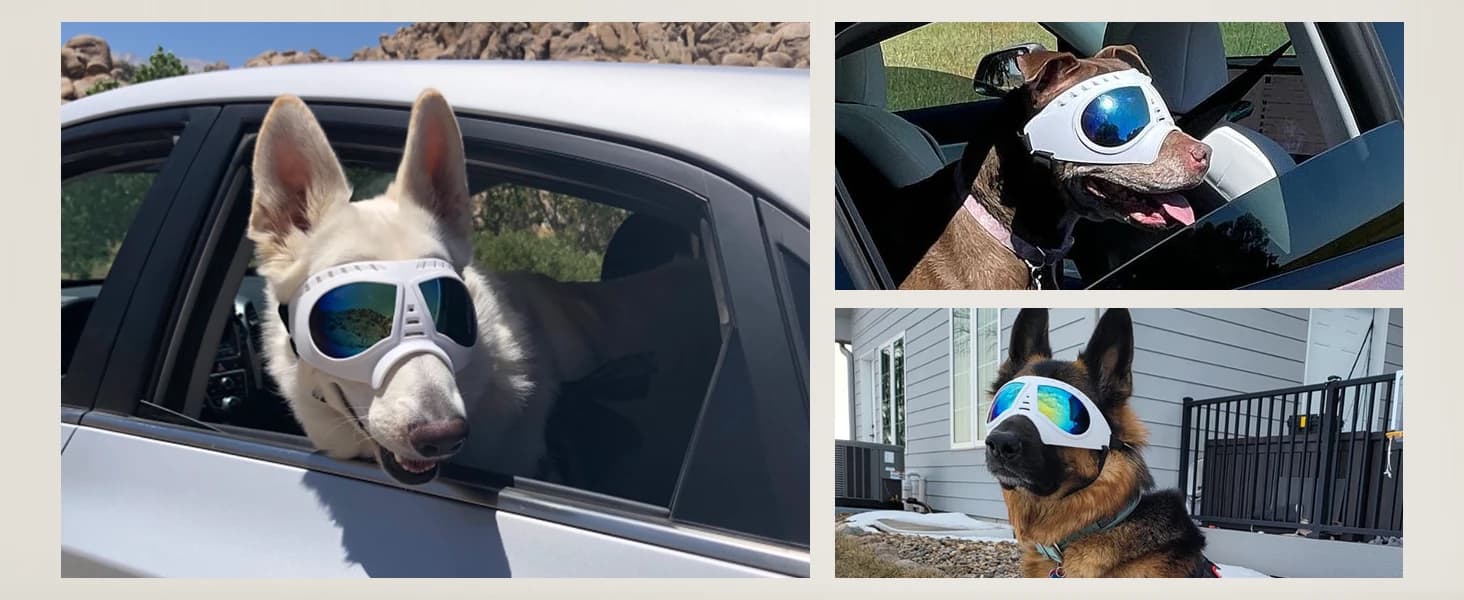 Dog Goggles for Large Dogs Eye Protection — product details