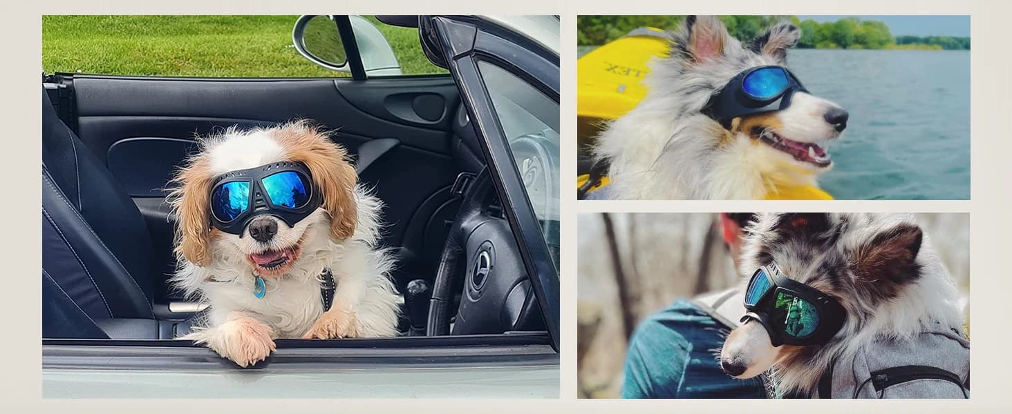 Dog Goggles for Large Dogs Eye Protection — product details
