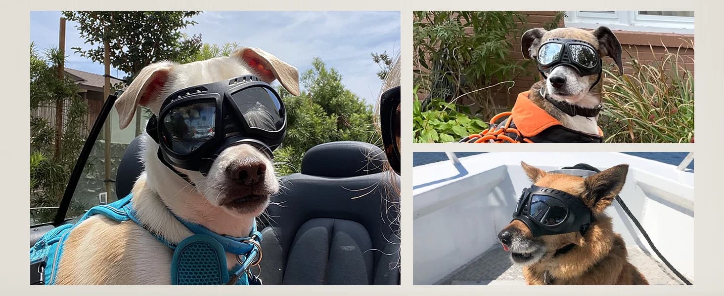 Dog Goggles for Large Dogs Eye Protection — product details