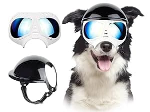Dog Goggles for Large Dogs Eye Protection — collection imagery