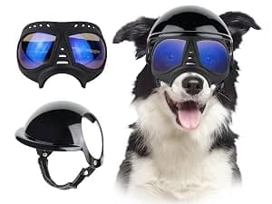 Dog Goggles for Large Dogs Eye Protection — collection imagery