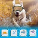 Dog Goggles for Large Dogs — UV Wind Dust Fog Protection