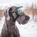 Dog Goggles for Large Dogs — UV Wind Dust Fog Protection