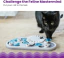 Nina Ottosson Rainy Day Puzzle and Play Cat Toy Treat Puzzle