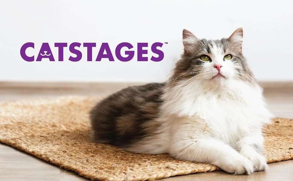 Nina Ottosson Rainy Day Puzzle and Play Cat Toy Treat Puzzle — product details