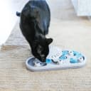 Nina Ottosson Rainy Day Puzzle and Play Cat Toy Treat Puzzle