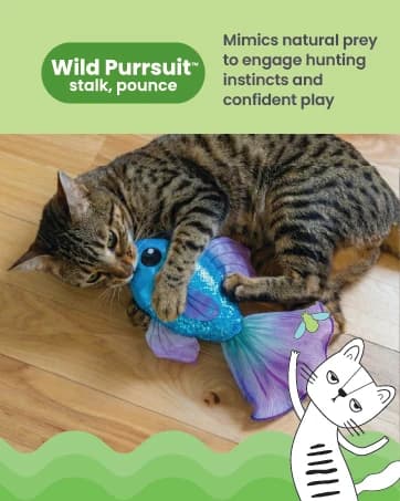 Nina Ottosson Rainy Day Puzzle and Play Cat Toy Treat Puzzle — collection imagery