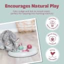 Cat Activity Flip Board – 4-Module Treat Puzzle Enrichment Toy for Mental Stimulation and Slow Feeding
