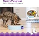 Scratch N' Hunt Interactive Cat Puzzle Toy with Scratcher