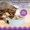 Scratch N' Hunt Interactive Cat Puzzle Toy with Scratcher