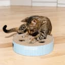 Scratch N' Hunt Interactive Cat Puzzle Toy with Scratcher