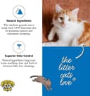 Ultra UnScented Clumping Clay Cat Litter — 40 lb. Bag