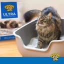 Ultra UnScented Clumping Clay Cat Litter — 40 lb. Bag