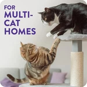 Slide Platinum Easy Clean-Up Clumping Cat Litter — collection imagery