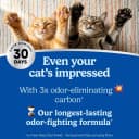 Advanced Heavy Duty Multi Cat Clumping Cat Litter — 17.5 lb.