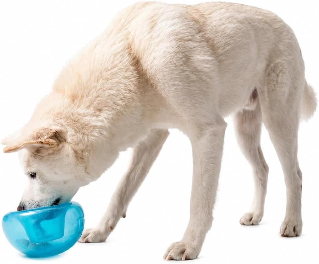 Snoop Interactive Treat Dispensing Dog Toy — Blue