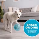 Snoop Interactive Treat Dispensing Dog Toy — Blue